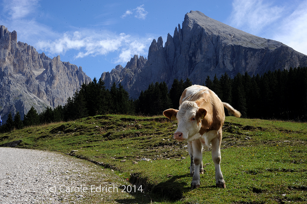 Making It Work in Alta Badia